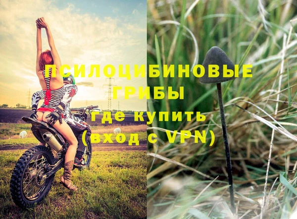 марки nbome Новодвинск