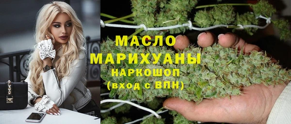 хмурый Алексин