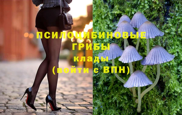 дживик Абаза