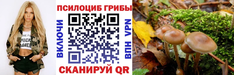 Галлюциногенные грибы Cubensis  блэк спрут ТОР  Нестеровская 